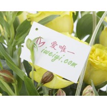 yellow roses delivery to China