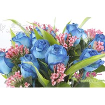 Glass vase composed of 13 light blue roses, pink Bouvardia hybrida and green grass.