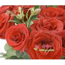 Le vase de roses rouges « Amour préféré »