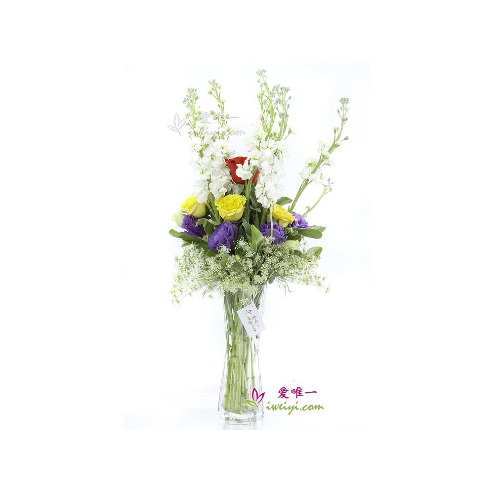 Le vase de fleurs « Spread of Love »