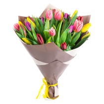 Der Strauß mehrfarbiger Tulpen « Feuerwerk der Liebe »