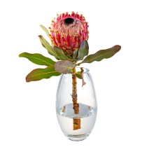 Fiore di Protea Re in un Vaso