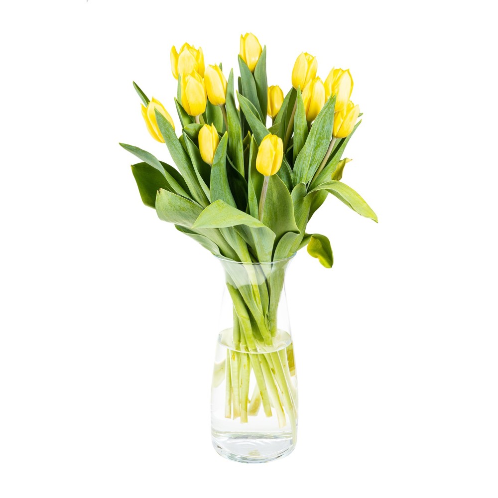 Die Vase mit gelben Tulpen « Sterne der Liebe »