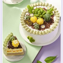 [Boutique Ganso] Gâteau d'anniversaire à la crème de cactus du désert