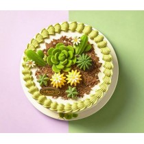 [Ganso Shop] Desert Cactus Cream Geburtstagstorte