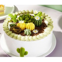 [Boutique Ganso] Gâteau d'anniversaire à la crème de cactus du désert