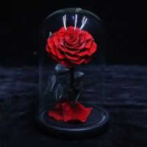 Rose rouge préservée dans une boîte à dôme en verre