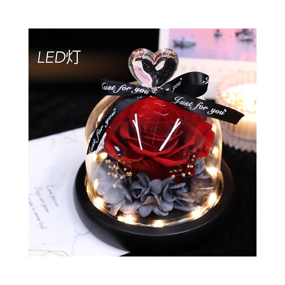 Preserved Red Rose and Hydrangea in a Glass Dome Box with LED Light