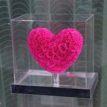 Rosas naturales preservadas en forma de corazón 3D