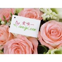 粉色红颜 in Italian can be translated as "Bellezza rosa".