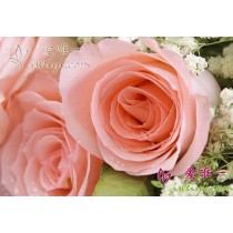 pink roses accented by white and purple lisianthus