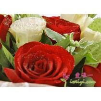 11 rose rosse in fiore, lisianthus champagne, frutti di club, euphorbia marginata e verdure fresche.