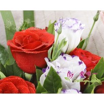 11 rose rosse accentuate con lisianthus bianchi e viola.