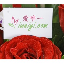 Invia un bouquet di 11 rose rosse in Cina.