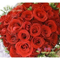 33 blooming red roses