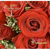 33 premium fresh red roses