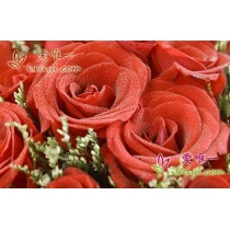 rose rosse