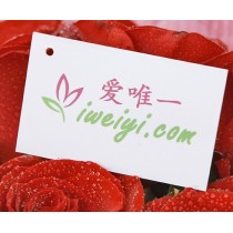 Ordina un bouquet di 19 rose rosse per la Cina.