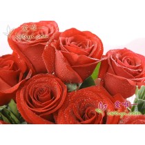 19 fresche rose rosse in piena fioritura raccolte con foglie di gardenia.