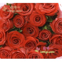 Rose rosse