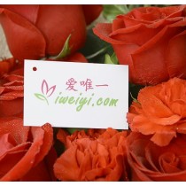 Invia un mazzo di rose rosse e garofani rossi in Cina.