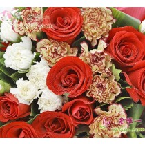 Rose rosse e garofani