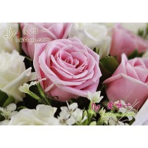 Pink roses