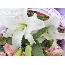 White lilies