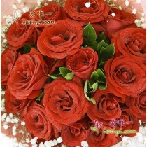 19 rose rosse a lungo stelo in piena fioritura