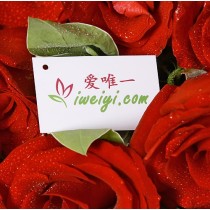 Invia un mazzo di fresche rose rosse in Cina.