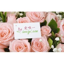 Send a bouquet of 19 pink roses to China