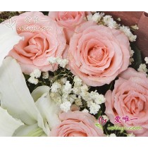 pink roses