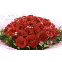 99 rose rosse fresche in fiore