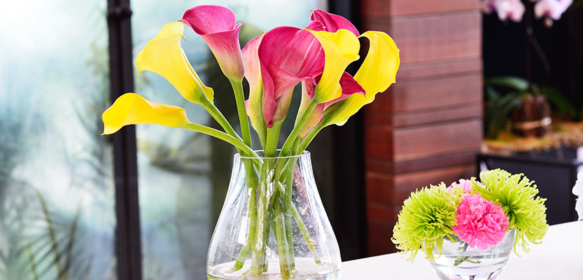 Calla lilies of different colors arranged in a glass vae